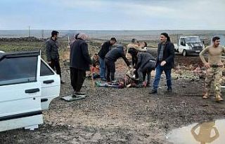 Kamyon ile otomobil çarpıştı: 6 yaralı