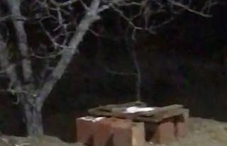 Kapısına gelen tilkileri boş göndermiyor