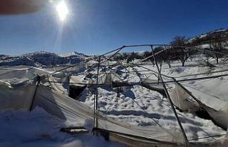 Kar altında kalan seralar zarar gördü