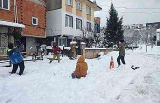 Kar kalınlığı ilçe merkezinde 20, yüksek kesimlerde...