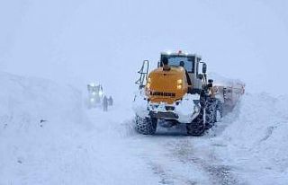 Kar kaplanlarından 50 günde 15 bin kilometre yol...