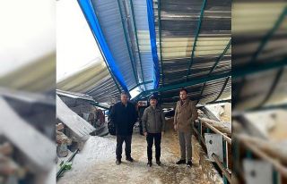 Kar nedeniyle ahırın çatısı çöktü