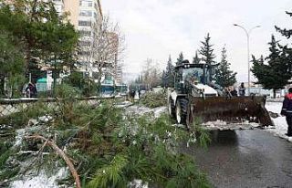 Kar savurdu, ekipler temizledi