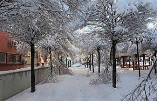 Kar yağışı kartpostallık görüntüler oluşturdu