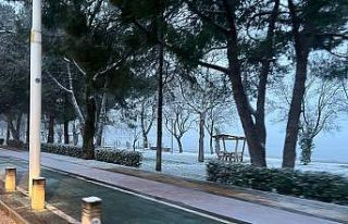 Kar yağışı kuruyan İznik gölü için umut oldu