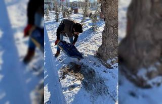 Kar yağışı sonrası yaban hayatı için doğaya...