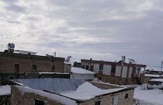 Kar yağışına dayanamayan ahırlar çöktü