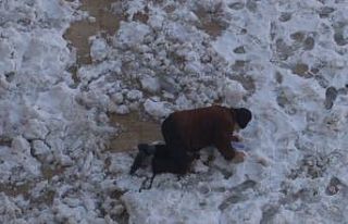 Kara alışık olmayan Şanlıurfalılar düşe kalka...