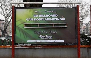 Kara kışta kuşlara "ilân-ı yem"