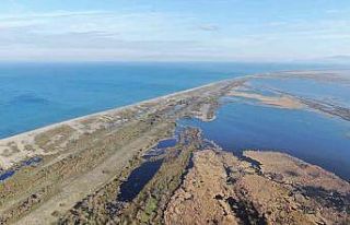 Karacabey longoz ormanları suyla buluşmaya başladı