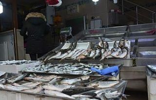 Karadeniz’de bu sezon hamsi yüz güldürdü