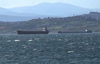 Karadeniz’de fırtına: Gemiler doğal limana sığındı