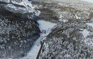 Karagöl’ün beyaz örtü altındaki görüntüsü...