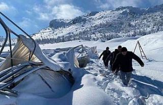 Karaman’da karın ağırlığına dayanamayan seralar...