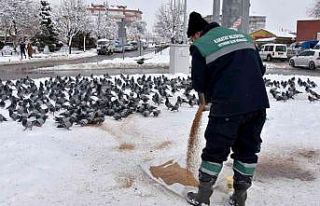 Karatay’da 24 saat kar mesaisi