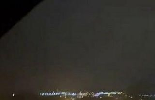 Karda yiyecek bulmakta zorlanan domuz sürüsü şehir...