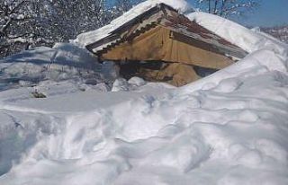 Kardan çatısı çöken ahırlardaki 20’in üzerinde...