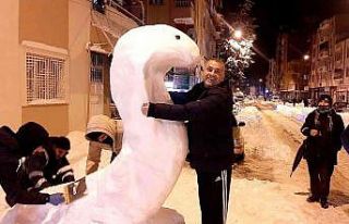 Kardan kobra yılanı