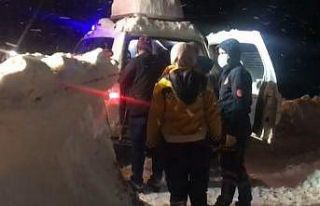 Kardan yolu kapanan köydeki hasta 5 saatte paletli...