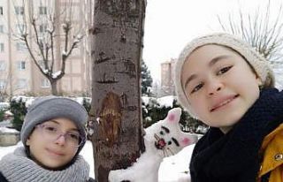 Karı, karı-koca yaptılar