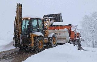 Karla mücadelede tam not