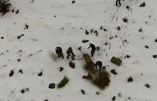 Karlı kaplı dağlara yabani hayvanlar için yem...