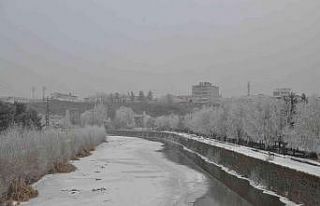 Kars’ta ağaçlar kırağı tuttu
