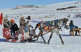 Kars’ta buz üzerinde atlı kızak keyfi sürüyor
