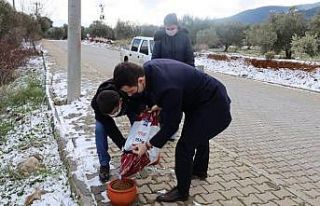 Kaymakam Alpay sokak canlarını unutmadı