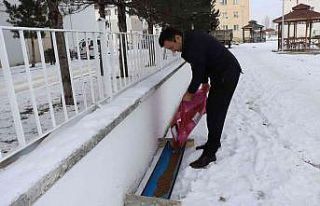 Kaymakam sokak hayvanlarını unutmadı