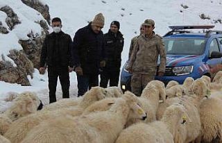 Kaymakam Türkoğlu, karlı yolları açma çalışmalarını...