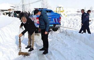 Kaymakam ve Belediye Başkanı sokak hayvanları için...