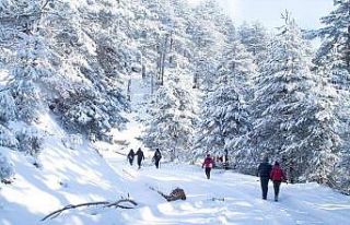 Kazdağları’ndaki kar güzelliği objektiflere...