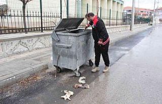 ’Kedilerin derisini yüzdüler’ ihbarına giden...