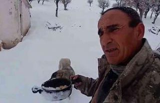 Kendi yemeğini sokak hayvanlarıyla paylaştı