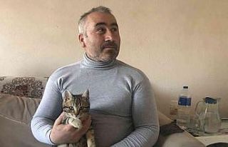 Kendisini belgesele kaptıran kedinin verdiği tepki...