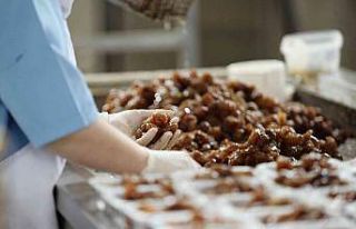 Kestane şekeri ihracatı artıyor