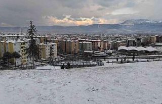 Kestel karla kaplandı