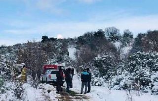 Kestiği ağacın altında can verdi