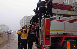 Kilis’te korkutan yangında 15 kişi itfaiye tarafından...