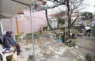 Kırsaldaki çınarlara evlerinde hizmet