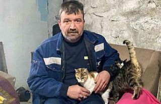 Kış ayında kapısını kedilere açtı