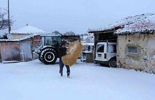 Kış mevsiminde köyde yaşam