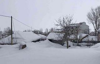 Kışın çetin geçtiği o ilçede tek katlı evler...