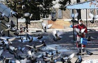 Kocasinan’dan kış mevsimi boyunca sokak ve yaban...