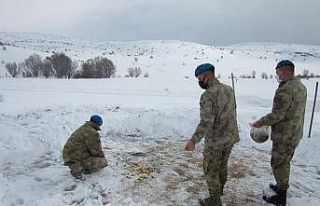 Komandolar, yaban hayvanları için doğaya yem bıraktı