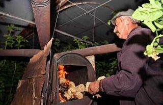 Konyaaltı’ndan seracılara ücretsiz briket yakıt...