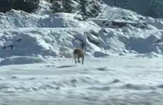 Konya’da sürücüler dondurucu soğuklarda yiyecek...