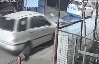 Köpeği ezdi, arkasına bile bakmadan gitti