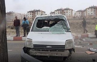 Köpeklere çarpmamak için manevra yaptı, kamyonet...